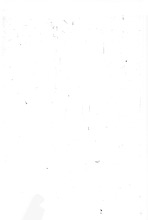 49213_OBJ-Thumbnail Image.jpg