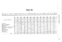 49539_OBJ-Thumbnail Image.jpg