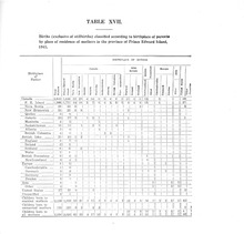 49543_OBJ-Thumbnail Image.jpg