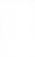 4959_OBJ-Thumbnail Image.jpg