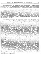 49606_OBJ-Thumbnail Image.jpg