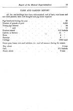 4965_OBJ-Thumbnail Image.jpg