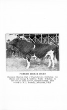 49707_OBJ-Thumbnail Image.jpg