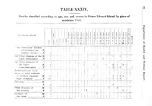 49821_OBJ-Thumbnail Image.jpg