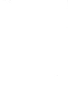 49862_OBJ-Thumbnail Image.jpg