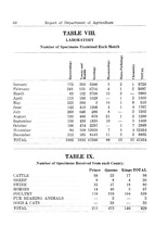 49869_OBJ-Thumbnail Image.jpg