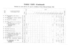 4987_OBJ-Thumbnail Image.jpg