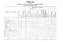 49919_OBJ-Thumbnail Image.jpg