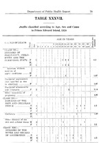 49930_OBJ-Thumbnail Image.jpg