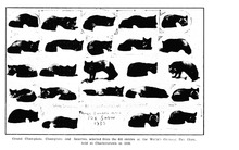 50180_OBJ-Thumbnail Image.jpg