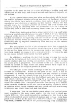 50185_OBJ-Thumbnail Image.jpg