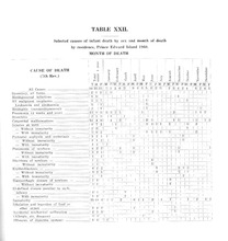 50262_OBJ-Thumbnail Image.jpg