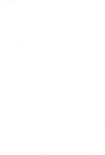 50356_OBJ-Thumbnail Image.jpg