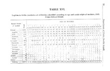 50474_OBJ-Thumbnail Image.jpg
