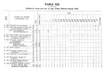 50523_OBJ-Thumbnail Image.jpg