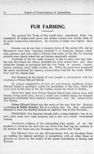 50557_OBJ-Thumbnail Image.jpg