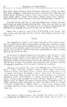 50608_OBJ-Thumbnail Image.jpg