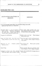 51011_OBJ-Thumbnail Image.jpg