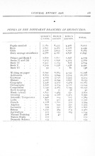 51071_OBJ-Thumbnail Image.jpg