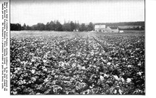 5108_OBJ-Thumbnail Image.jpg