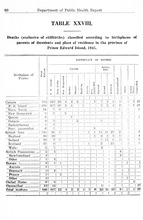 51171_OBJ-Thumbnail Image.jpg