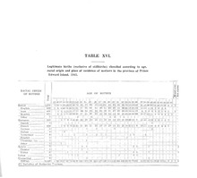 51296_OBJ-Thumbnail Image.jpg