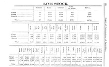 51465_OBJ-Thumbnail Image.jpg