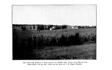 51476_OBJ-Thumbnail Image.jpg