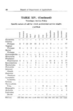 51512_OBJ-Thumbnail Image.jpg