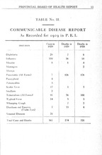 51711_OBJ-Thumbnail Image.jpg