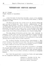 51772_OBJ-Thumbnail Image.jpg