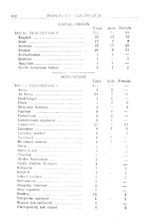 5189_OBJ-Thumbnail Image.jpg