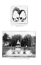 51903_OBJ-Thumbnail Image.jpg