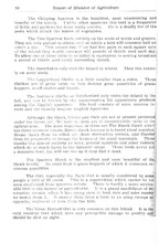 51991_OBJ-Thumbnail Image.jpg