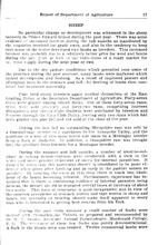 52025_OBJ-Thumbnail Image.jpg