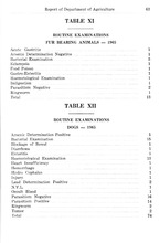 52070_OBJ-Thumbnail Image.jpg