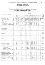 52175_OBJ-Thumbnail Image.jpg