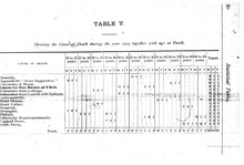 52261_OBJ-Thumbnail Image.jpg