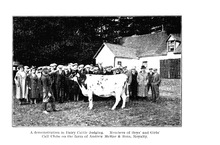 52365_OBJ-Thumbnail Image.jpg