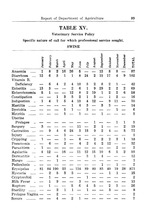 52394_OBJ-Thumbnail Image.jpg