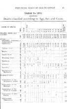 52399_OBJ-Thumbnail Image.jpg