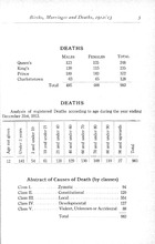 5284_OBJ-Thumbnail Image.jpg