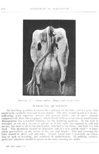 53043_OBJ-Thumbnail Image.jpg