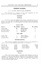 53139_OBJ-Thumbnail Image.jpg