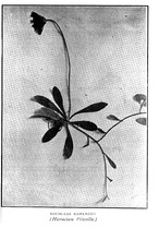 53361_OBJ-Thumbnail Image.jpg