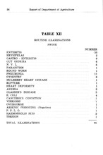 53419_OBJ-Thumbnail Image.jpg