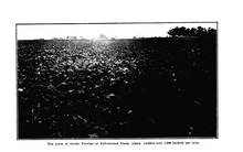 53512_OBJ-Thumbnail Image.jpg