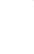 53565_OBJ-Thumbnail Image.jpg