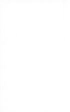 53575_OBJ-Thumbnail Image.jpg