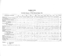 5358_OBJ-Thumbnail Image.jpg
